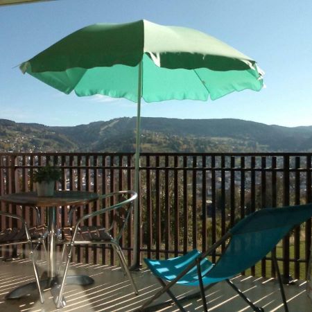 Studio Les Bleuets Gerardmer Bagian luar foto