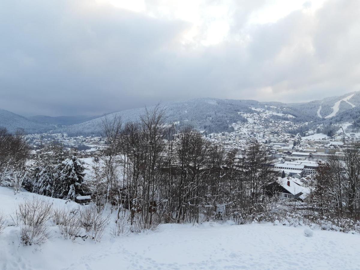 Studio Les Bleuets Gerardmer Bagian luar foto
