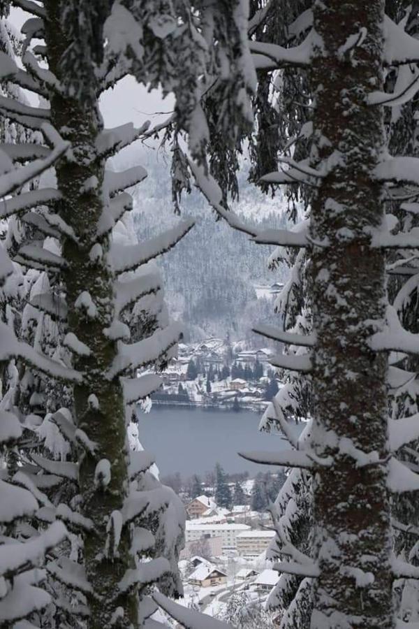 Studio Les Bleuets Gerardmer Bagian luar foto