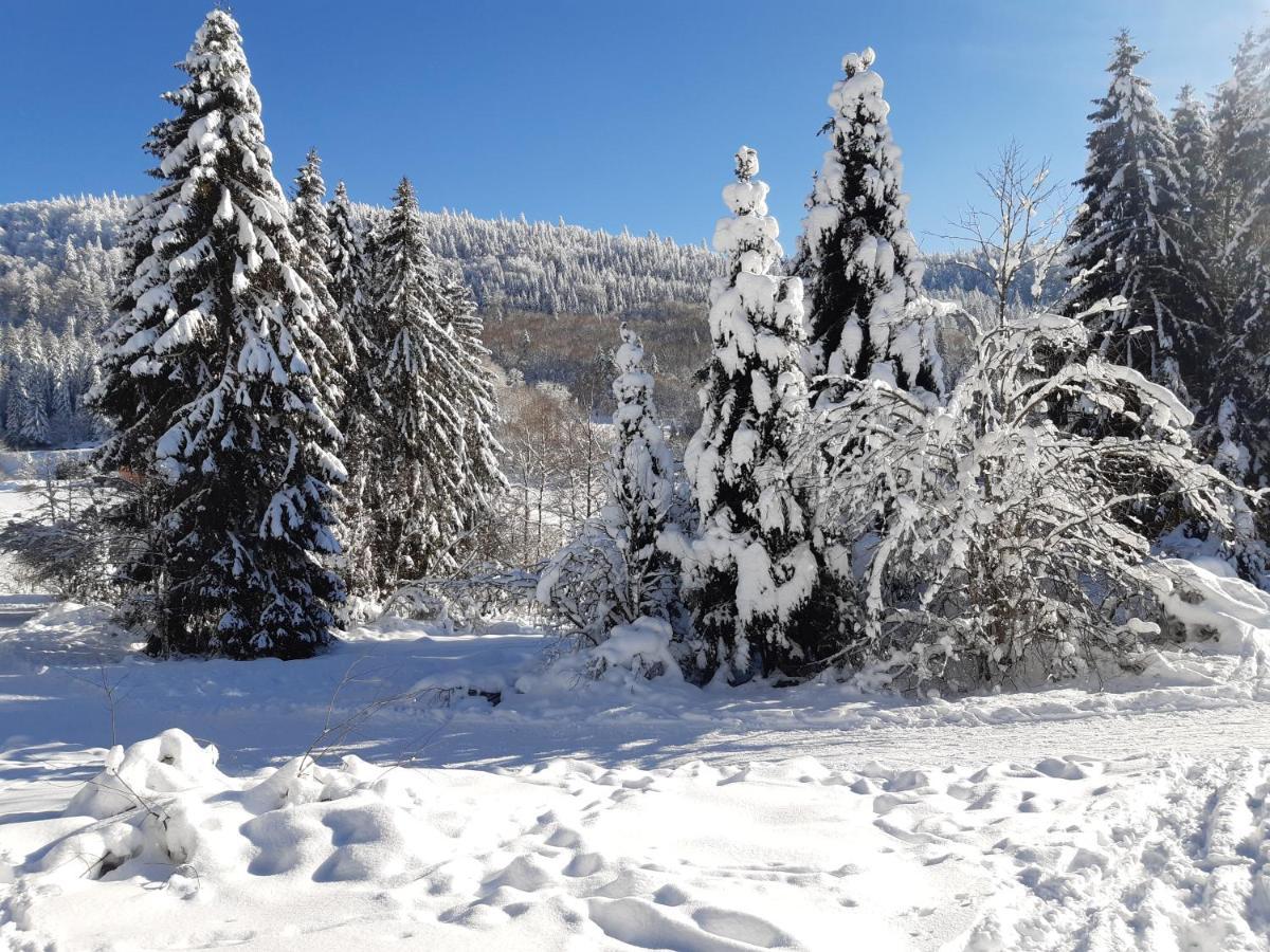Studio Les Bleuets Gerardmer Bagian luar foto