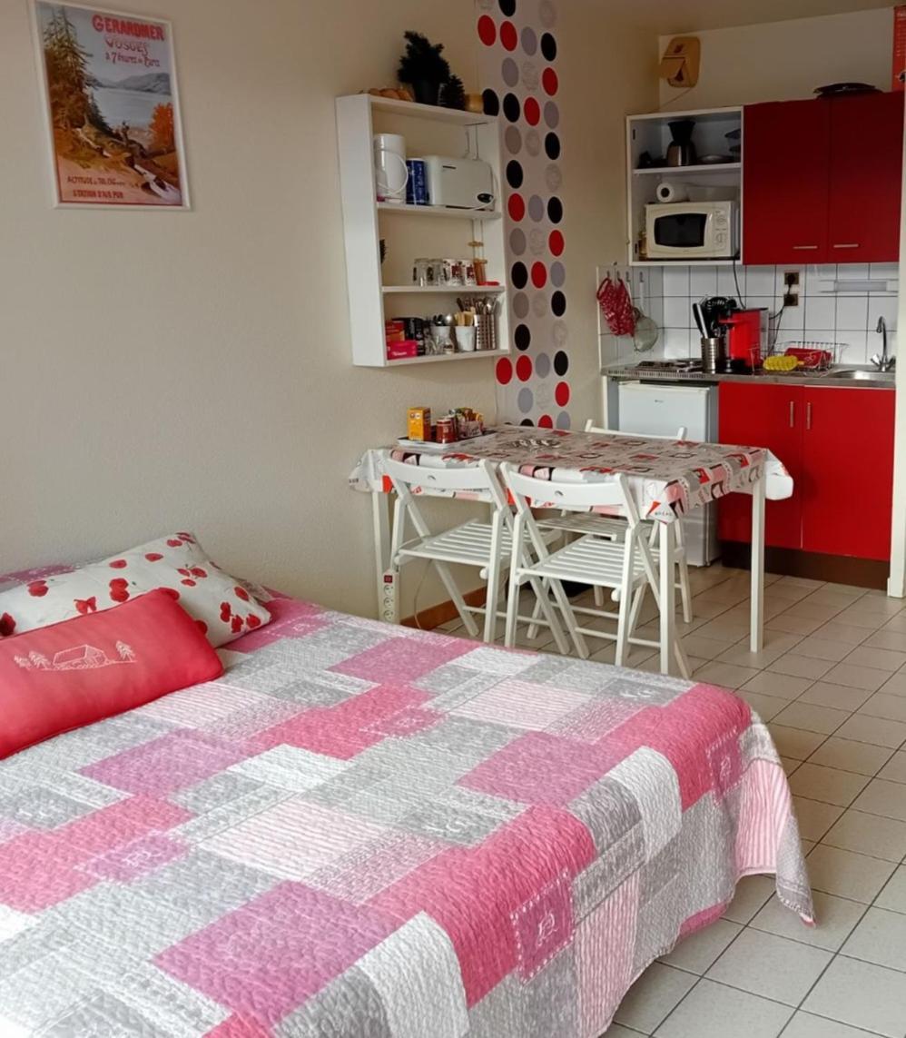 Studio Les Bleuets Gerardmer Bagian luar foto