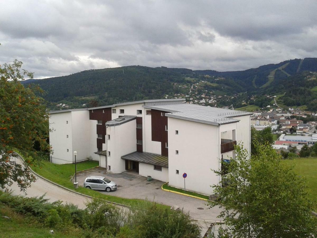 Studio Les Bleuets Gerardmer Bagian luar foto