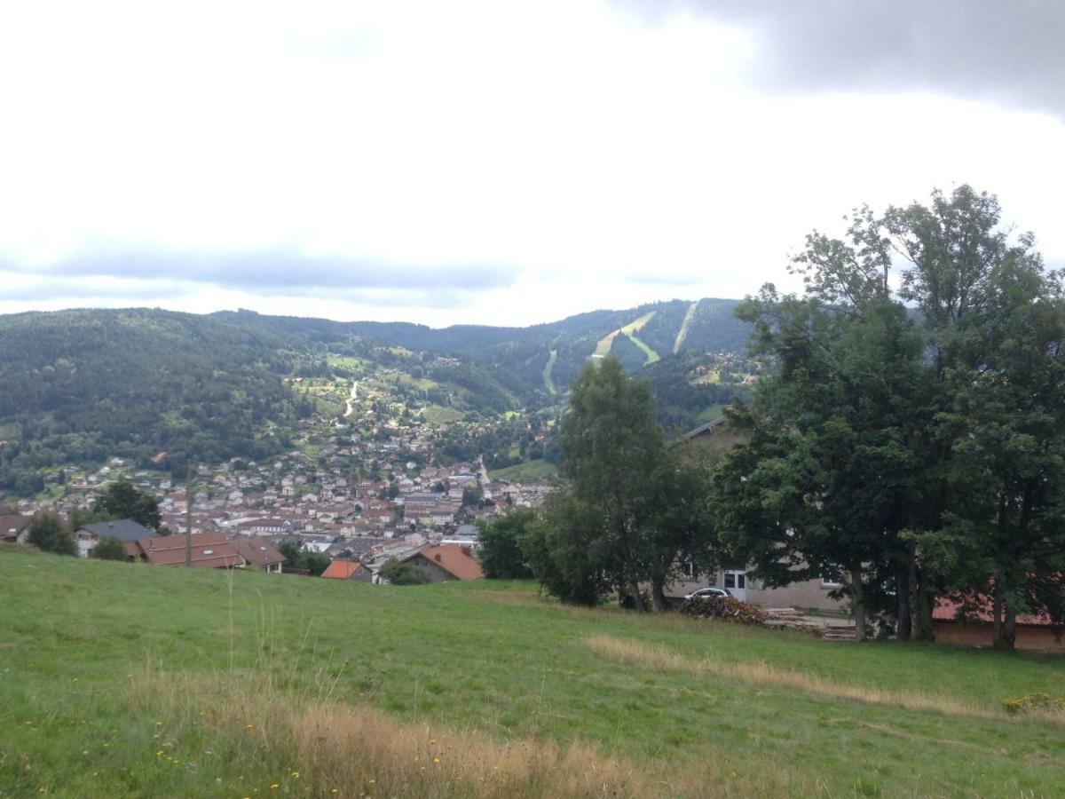 Studio Les Bleuets Gerardmer Bagian luar foto