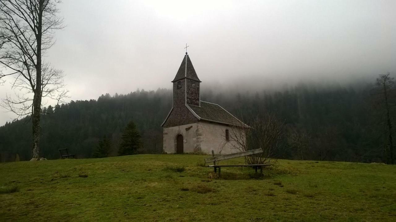 Studio Les Bleuets Gerardmer Bagian luar foto