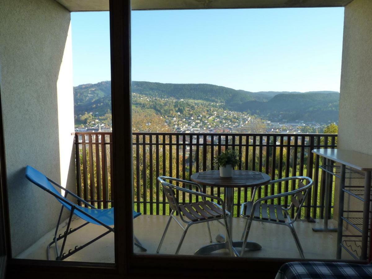 Studio Les Bleuets Gerardmer Bagian luar foto