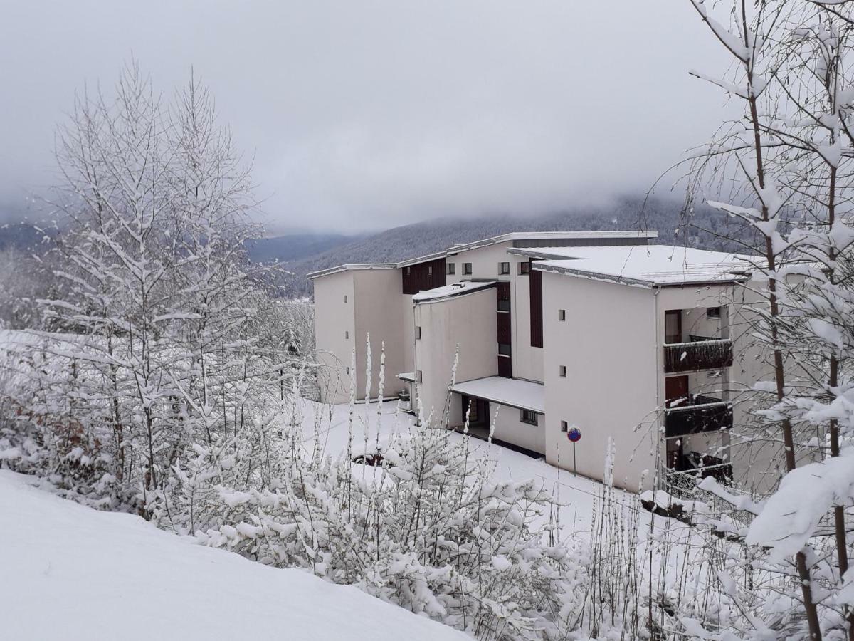 Studio Les Bleuets Gerardmer Bagian luar foto