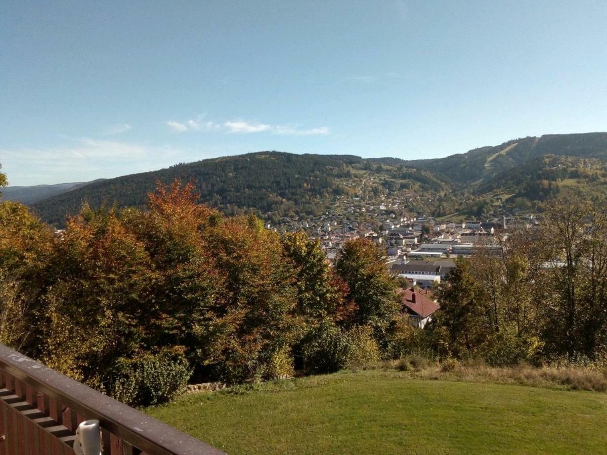 Studio Les Bleuets Gerardmer Bagian luar foto